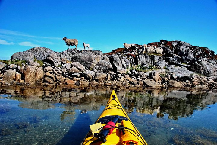 Half Day Kayak - Northern Explores AS
