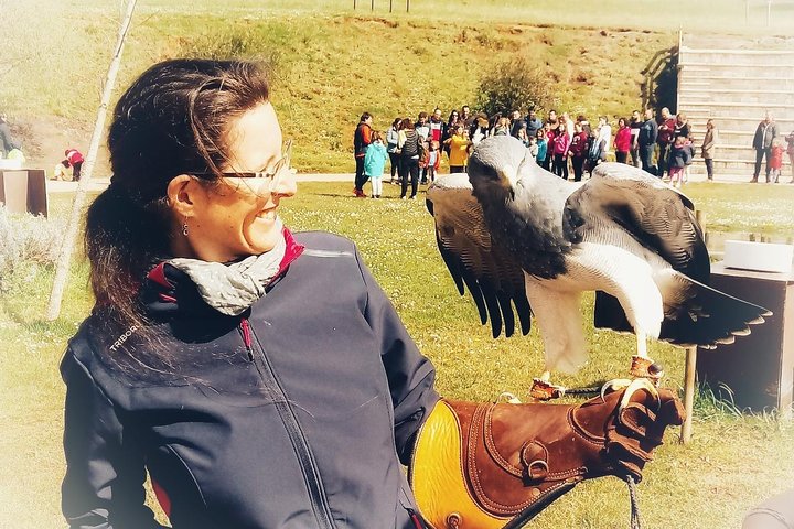 Cabarceno Natural Park Guided Visit from Santander
