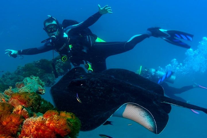 Scuba Dive the S.S. Yongala Wreck on the Great Barrier Reef.