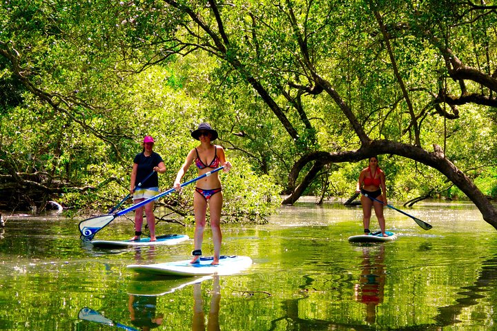 Byron Stand Up Paddle Nature Tour