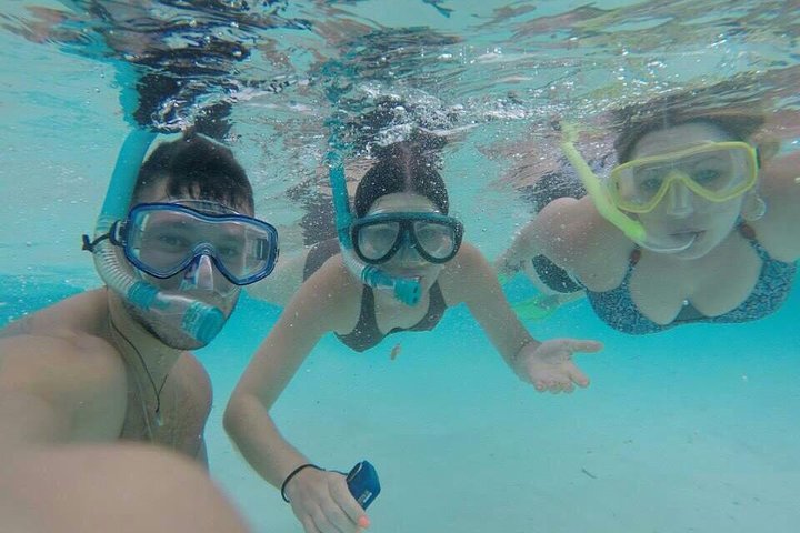 3 Point Snorkeling Safari