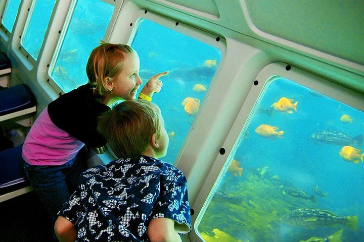 Undersea Expedition: Catalina Island Tour
