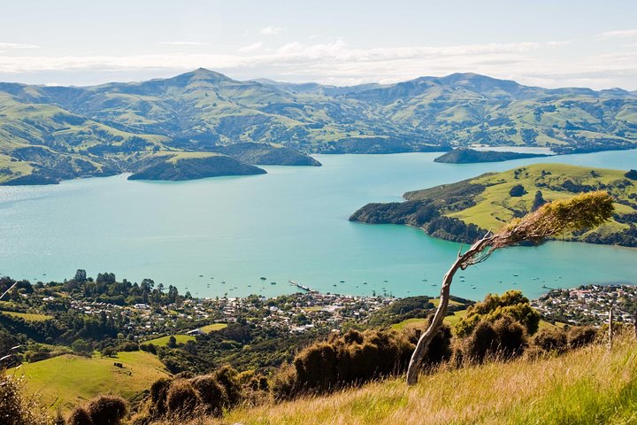 Discover Akaroa: Self Guided Audio Tour