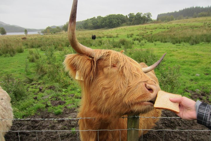 1 Day Tour from Inverness - Isle of Skye, Fairy Pools, and Eilean Donan Castle