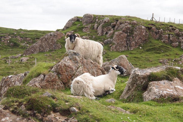 1 Day Tour from Inverness - Isle of Skye, Fairy Pools, and Eilean Donan Castle