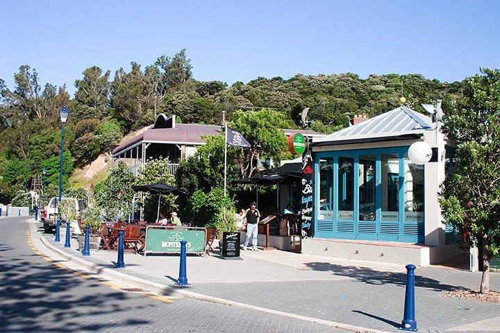 Discover Akaroa: Self Guided Audio Tour