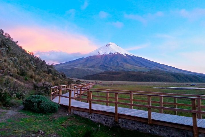 Cotopaxi Full-Day from Quito Including Entrances