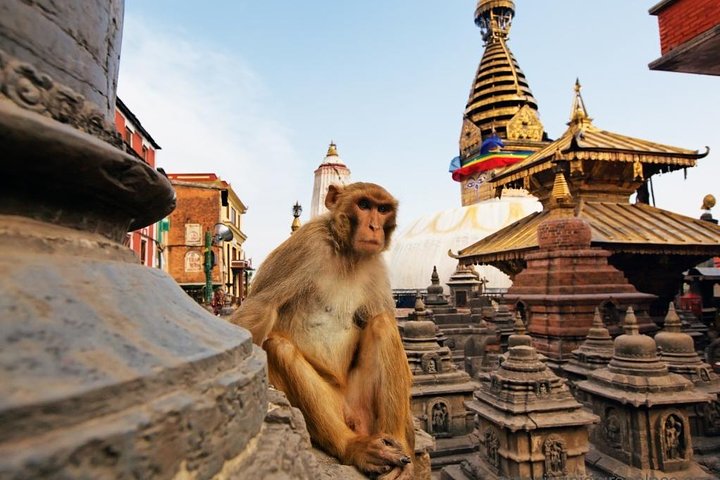 Private Kathmandu Sightseeing Tour | UNESCO World Heritage sites