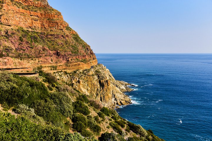 Table Mountain, Penguins & Cape Point Group Tour from Cape Town
