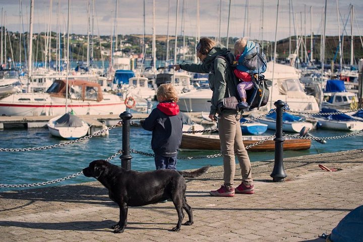 Shore Excursion From Cork: Including Blarney Castle and Kinsale
