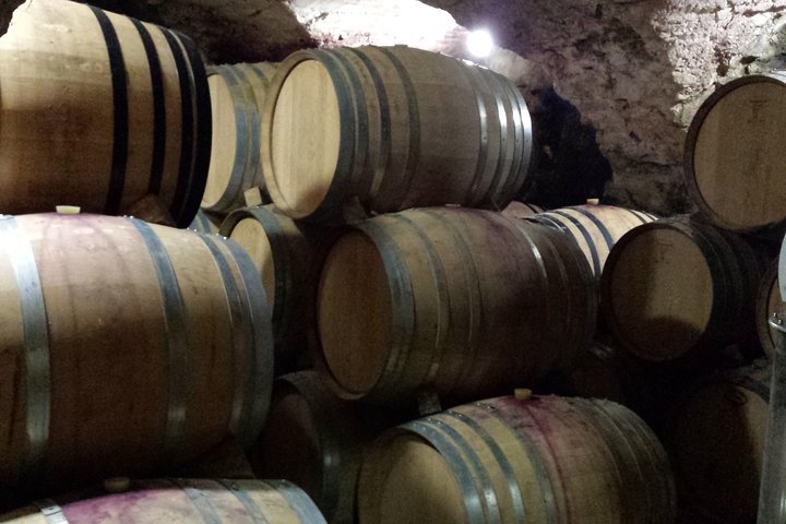 Provence Cru Wine Small-Group Half-Day Tour from Avignon
