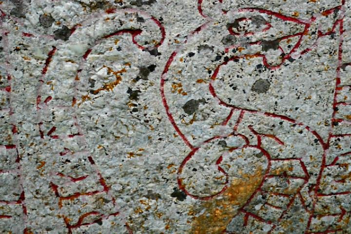 Viking History, Runes & Countryside 9h Tour to Sigtuna & Uppsala