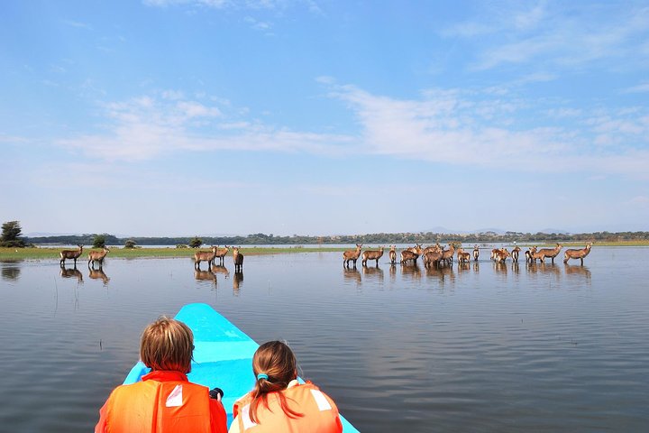 1 Day trip to Hells Gate and optional Lake Naivasha From Nairobi