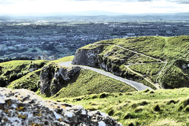 Top-Rated Hawke’s Bay Wine Tour - Small Group