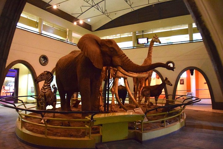 Half Day Giraffe Center,Baby Elephant&Karen Blixxen Guided Tour