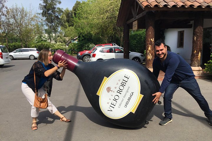 Maipo Valley Wine Tour with 4 vineyards from Santiago.