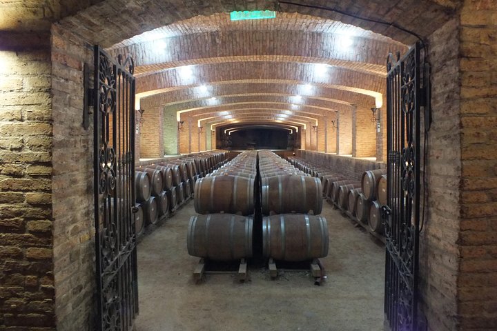 Maipo Valley Wine Tour with 4 vineyards from Santiago.