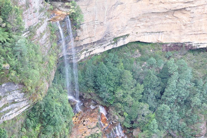 Blue Mountain Small Group Tour All Inclusive