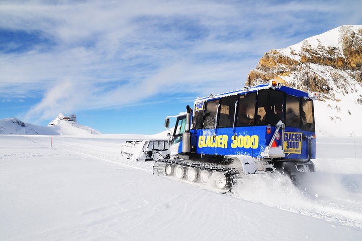 Day trip to Glacier 3000 from Montreux