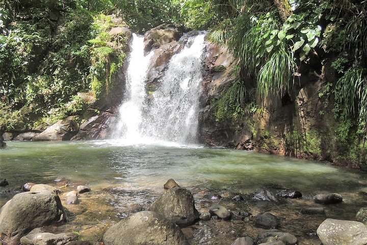 North Island Tour and Martinique Best Secret