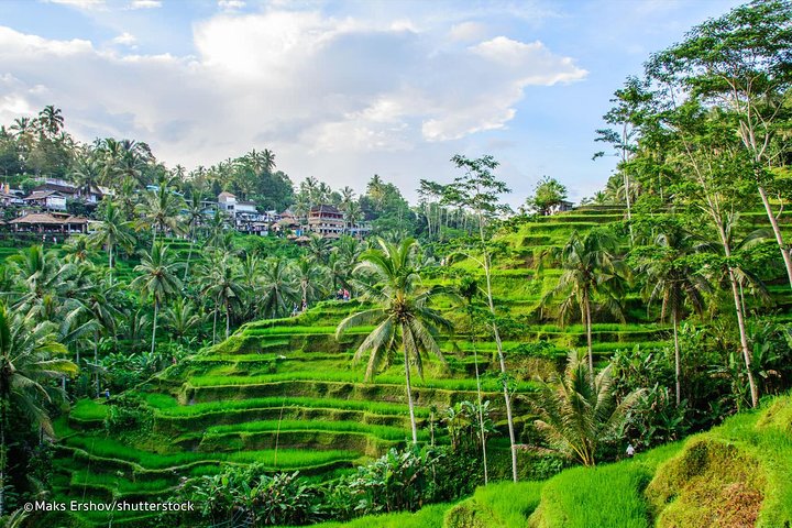 Ubud Private Tour - All Inclusive Premium Experience