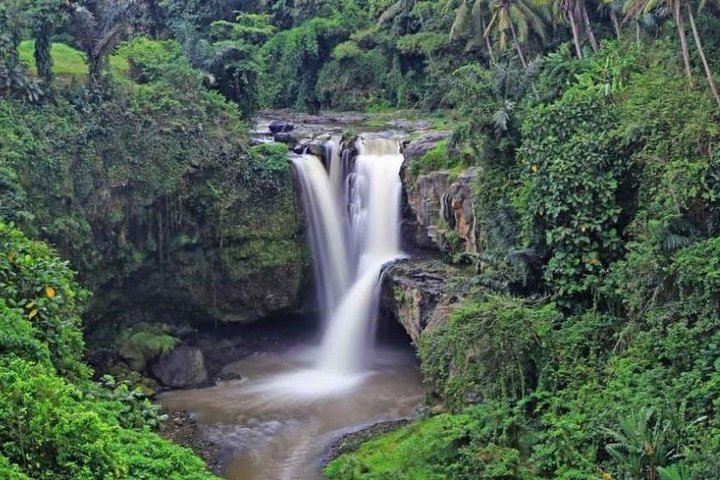 Ubud Private Tour - All Inclusive Premium Experience