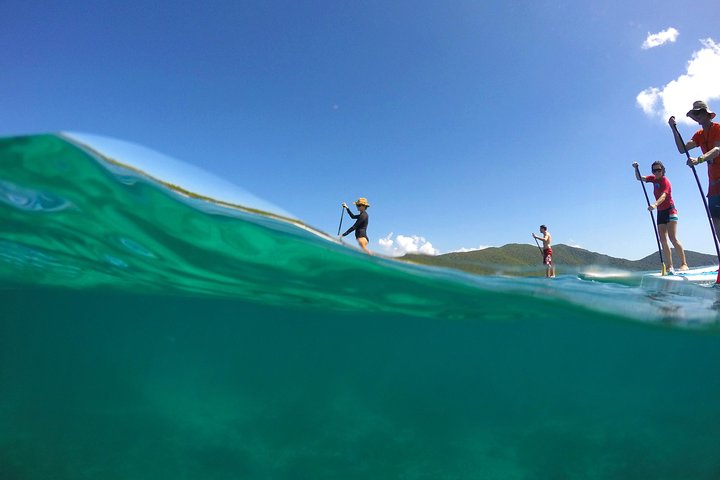Magic Mangrove Paddle in Beef Island Lagoon