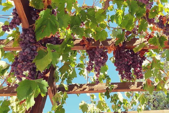 Troodos Mountains Villages: All Inclusive Food & Wine Day Tour
