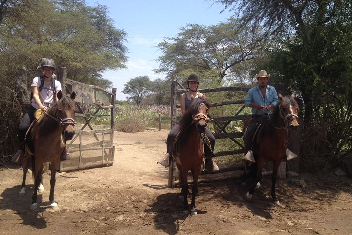 4-Hours Horse riding, Inca pyramids in world's largest dry forest