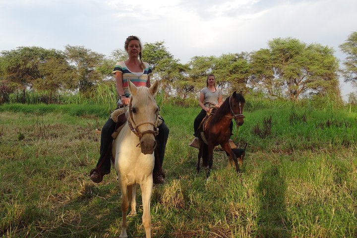 4-Hours Horse riding, Inca pyramids in world's largest dry forest