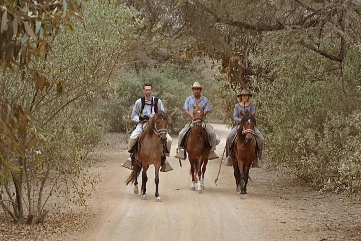 4-Hours Horse riding, Inca pyramids in world's largest dry forest