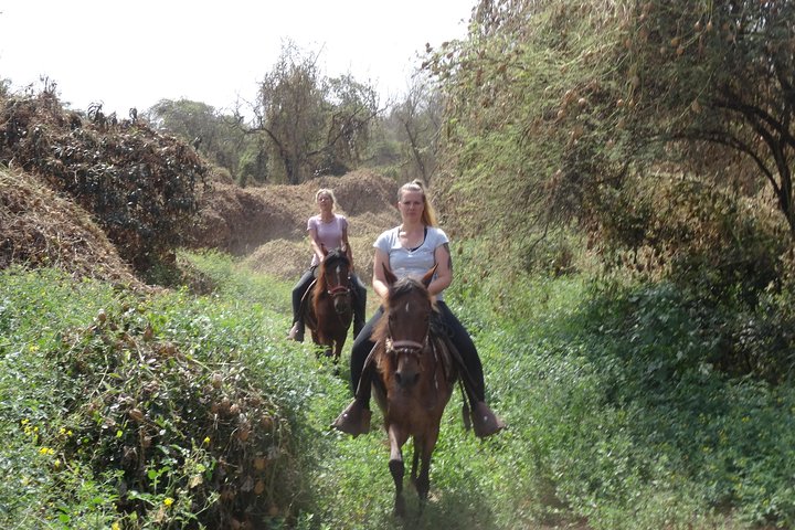 4-Hours Horse riding, Inca pyramids in world's largest dry forest