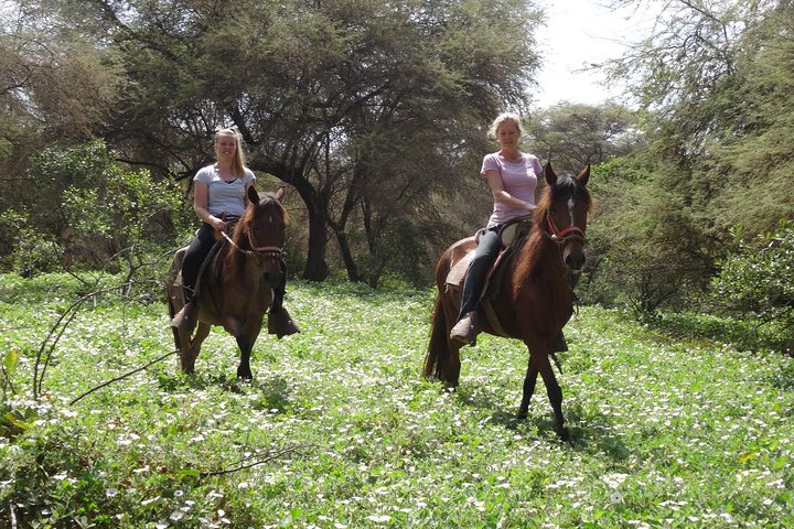 4-Hours Horse riding, Inca pyramids in world's largest dry forest