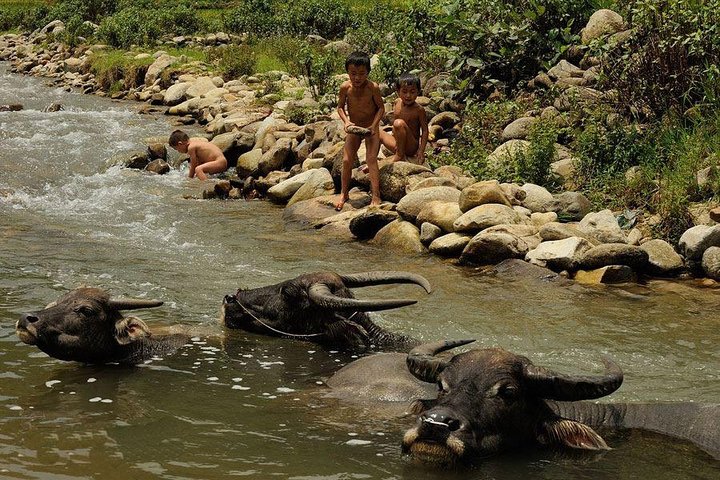 Sapa 2 Days 1 Night From Hanoi - Overnight in Ta Van Village