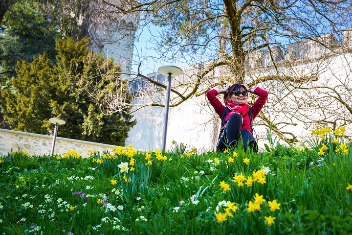 Lucerne Walking & Boat Tour: The Best Swiss Experience