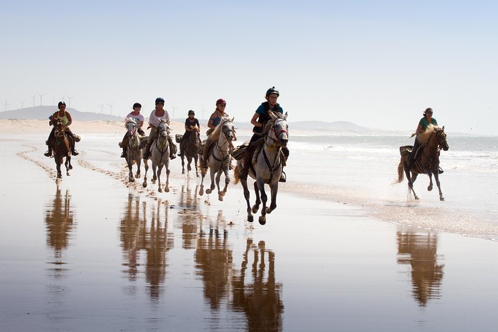 2-Hour Beach & Dunes Horse Ride in Essaouira (Day or Sunset)