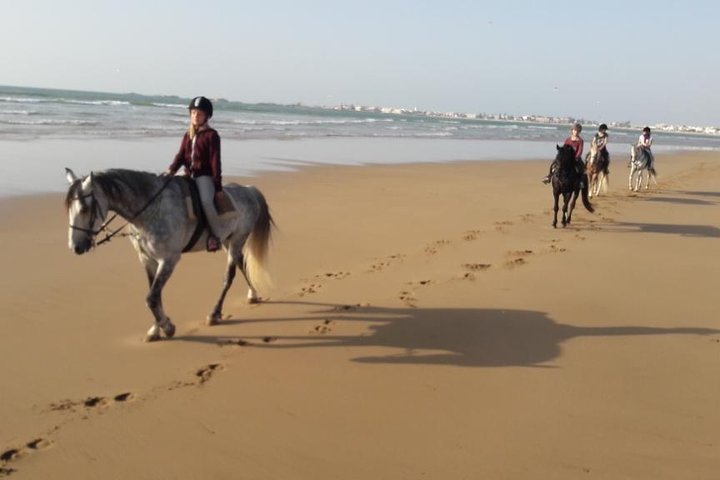 2-Hour Beach & Dunes Horse Ride in Essaouira (Day or Sunset)