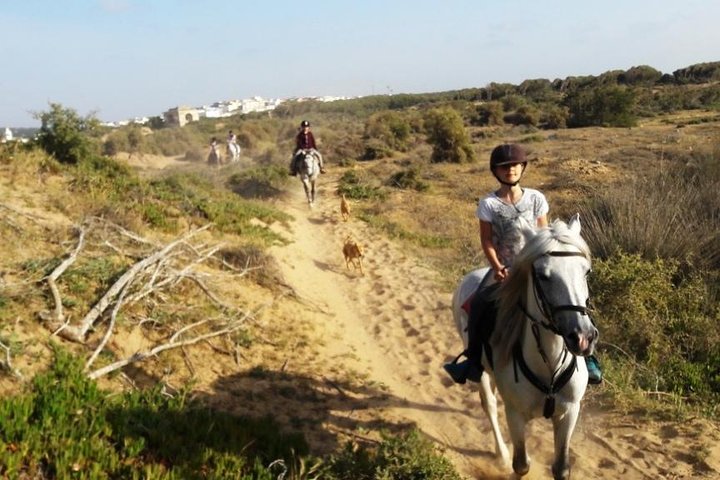2-Hour Beach & Dunes Horse Ride in Essaouira (Day or Sunset)