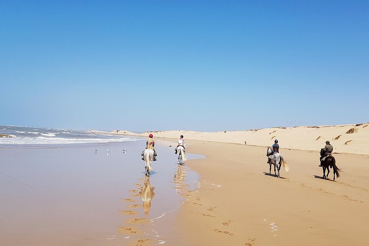 2-Hour Beach & Dunes Horse Ride in Essaouira (Day or Sunset)