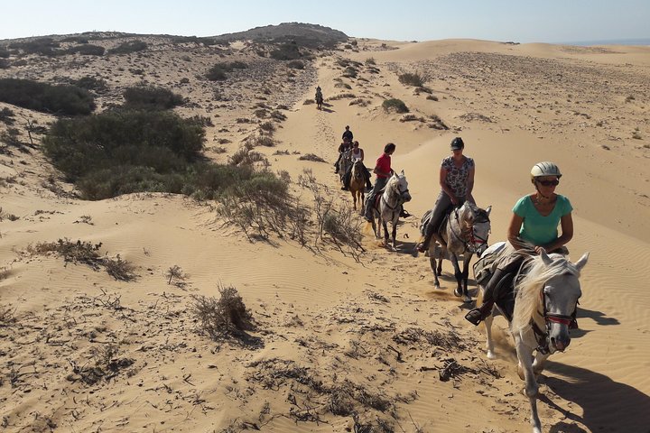 2-Hour Beach & Dunes Horse Ride in Essaouira (Day or Sunset)