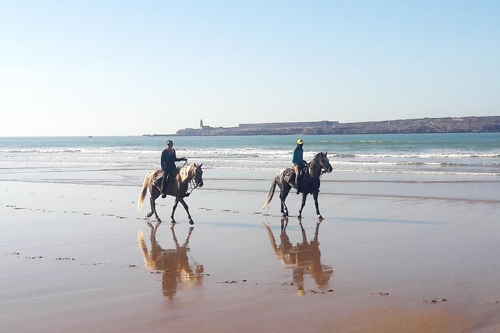 2-Hour Beach & Dunes Horse Ride in Essaouira (Day or Sunset)