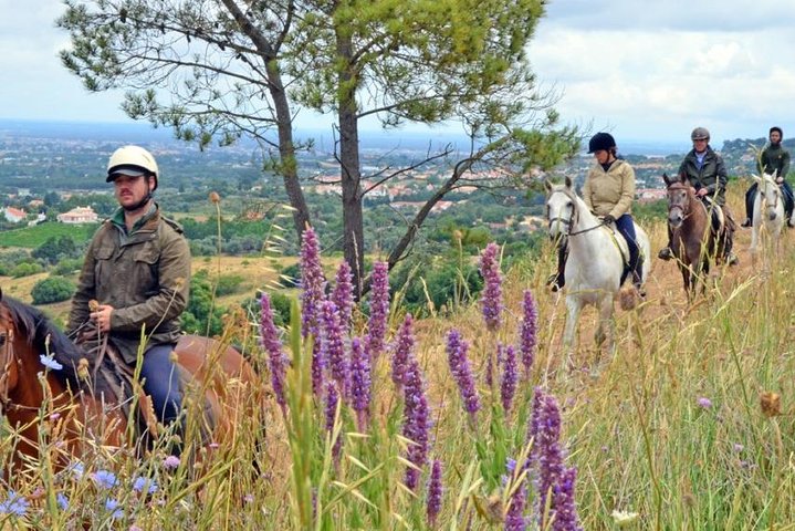 Horseback Riding, 4 Options-Mountain, Lesson Ring, Beach (2Hours)