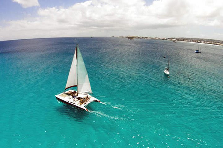 Barbados Catamaran Turtle Snorkel with Lunch and Open Bar