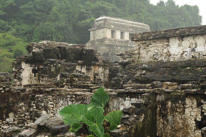 Palenque and Jungle Waterfalls from Tuxtla Gutierrez