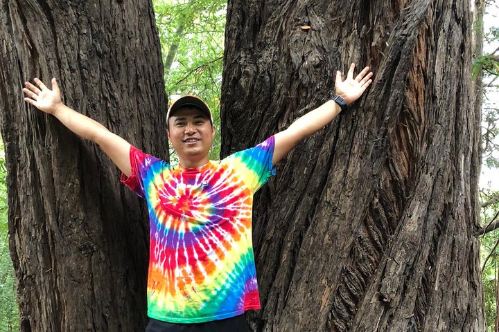 Redwoods of Marin and Mt. Tamalpais Walking Tour with Local Guide