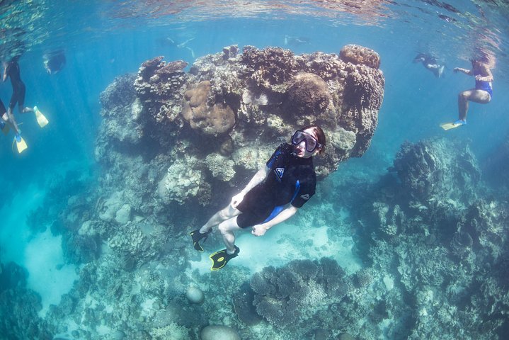 Coral Bay 2-Hour Coral Viewing and Snorkeling