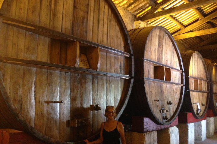Private Half-Day Languedoc Wine and Oyster Tour from Sète