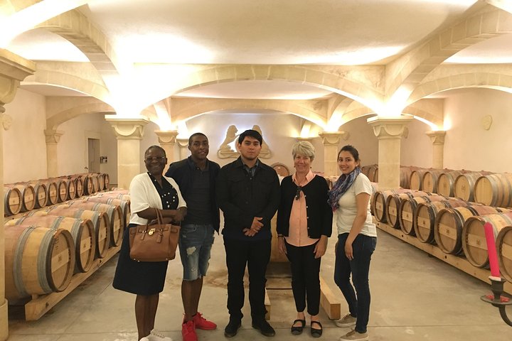 Private Half-Day Languedoc Wine and Oyster Tour from Sète