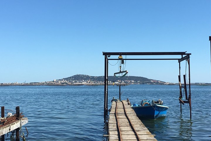 Private Half-Day Languedoc Wine and Oyster Tour from Sète