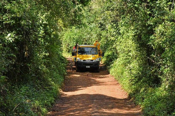 Iguazu Falls Tour, Boat Ride, Train and Safari Truck